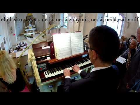 JKS 333 - Hor´ sa srdcia maloverné (mariánska hymna)