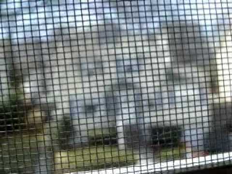 Watertown, MA March 16, 2010 The Day after the storm.mp4