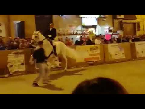 Cade un cavollo,in una sfilata.