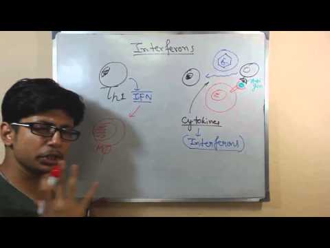 Interferon Alfa 2B Injection - Intron-A Latest Price, Manufacturers ...