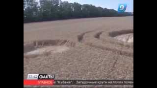preview picture of video 'Круги на полях России 17.06.2013 (Russia crop circles 2013) Тимашевск'