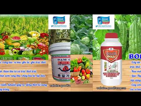 Sản phẩm phân bón lá Korea Vina - Phân bón thật cho người Việt