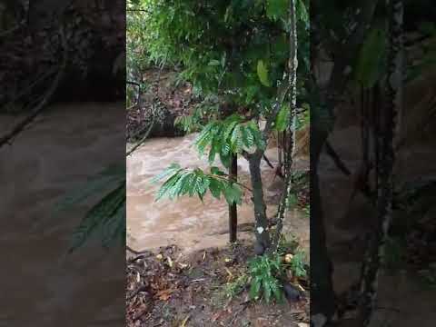 MUITA Chuva EM GANDU BAHIA. #shorts