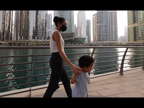 Theo Thomson - The Branch (Visualizer) shot by @gypsythebridge