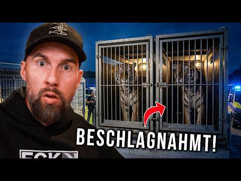 6 TIGER von Carmen Zander BESCHLAGNAHMT! | Robert Marc Lehmann reagiert