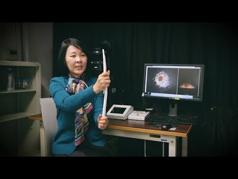 京大先生シアター「細胞が資材を運び・組み上げてゆくカイメン骨片骨格形成 - 動物の形が生み出される仕組み - 」