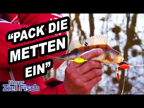 SO habt Ihr NOCH NIE BARSCHE GEFANGEN - Unser Ziel ist Fisch mit Jörg Ovens - Folge 34