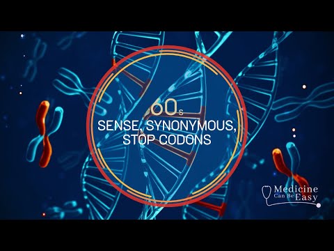 Genetics in 60 seconds: Sense, Synonymous, Stop Codons