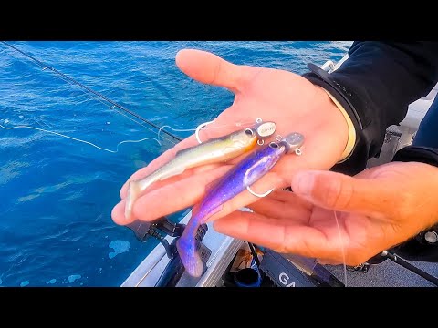 These Lures Get Eaten All Day!