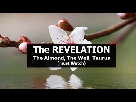 , title : 'The REVELATION! The almond, The well, Taurus (must Watch)'