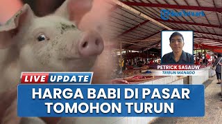 Harga Daging Babi di Tomohon Turun Lagi, Kini Stabil di Rp80 Ribu per Kilogram
