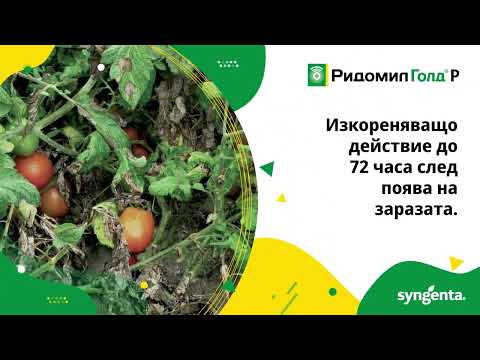 Ридомил Голд Р - системен фунгицид срещу мана при картофи и зеленчуци