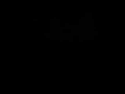 Sirat ćuprija - hadisi o mostu iznad džehennema - 181 dio