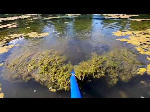 The Pond Guy Pond & Beach Rake GEN 2 Demo