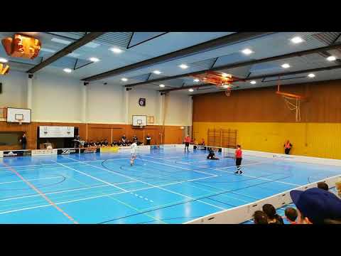 TV Schriesheim - Floorfighters Chemnitz am 29.02.2020