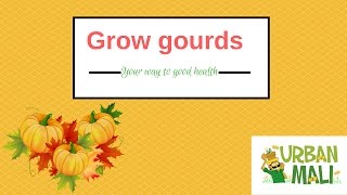 Grow gourds – Your way to good health