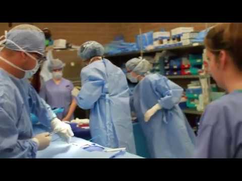 Surgical Technology at PTC