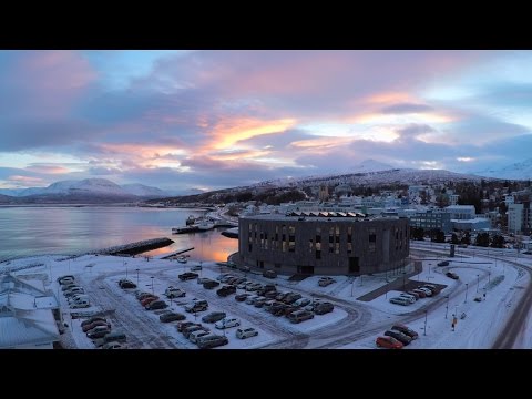 SviMA - Emma ft. Kött grá pje