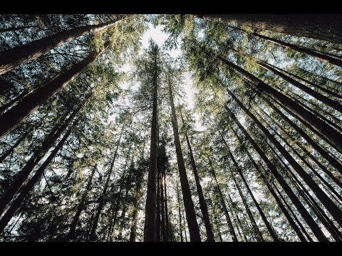 Gocce di nardo - PAROLE DI VITA ETERNA - Sabato 2 Maggio 2020