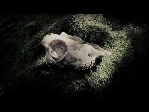 video frame placeholder