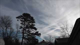 The Mantras - House Of Cards