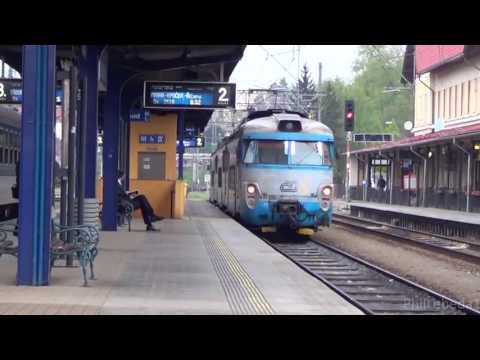 Benešov u Prahy - zlobící žabáci, 7.5.2013