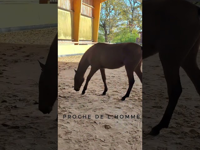 Hispana Soto Gil, une proximit&eacute; naturelle avec l&rsquo;humain