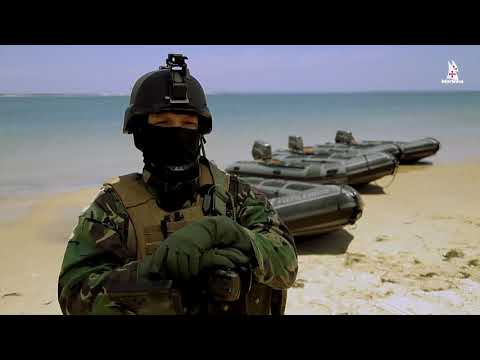 download lagu mp3 mp4 Armada Portuguesa, download mp3 Armada Portuguesa free downloadn, video klip Armada Portuguesa