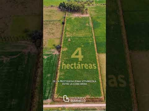 CHACRA EN COLONIA ESTRELLA
