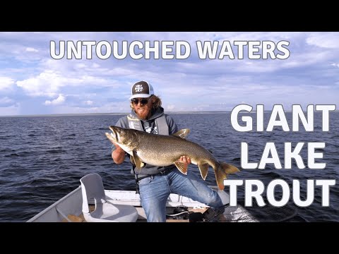 Catching Lunker Lake Trout - Aylmer Lake Lodge Ep 1 of 2