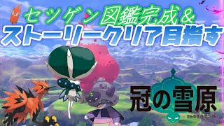【ポケモン】ついに来た冠の雪原～夜の部～