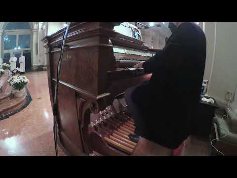 AGNUS DEI : MISSA IN NATIVITATE 06-01-2022