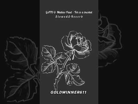 GATO & Matias Paul – Tot ce a incetat S l o w e d & R e v e r b