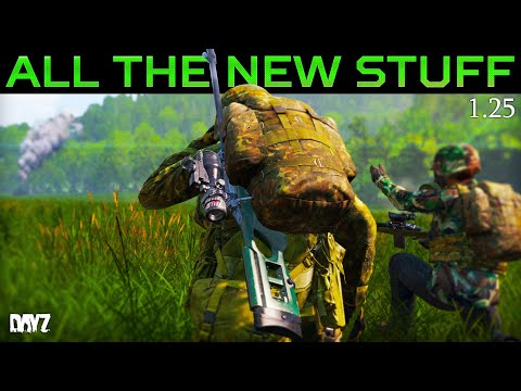 All NEW Stuff in DayZ Update 1.25 | VS-89 Sniper Rifle, Shotgun Changes & Player Sounds