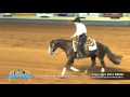 Chocolate N Chex Ridden By Donald Adams 2012 NRHA Futurity Second Go