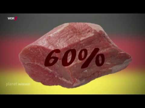 Wie werden wir in Zukunft satt? WDR Planet Wissen