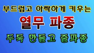 [텃밭농부.999]  부드럽고 아싹한 열무 키울 밭에 두둑 만들고 줄파종하기