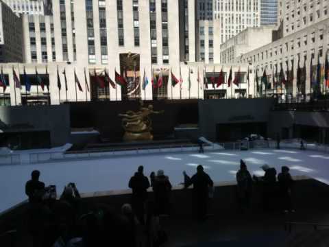 Waldo Maldonado's Trucking L.L.C.