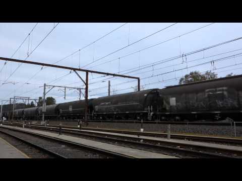 4 x 81 class with a grain train - 29/7/14