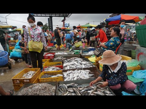Morning Daily Life Style @Fish Market - Morning Fish Market Scene Near Chhbar Ampov Bridge