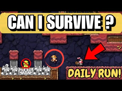 Can I Conquer Today's Spelunky Daily Challenge?