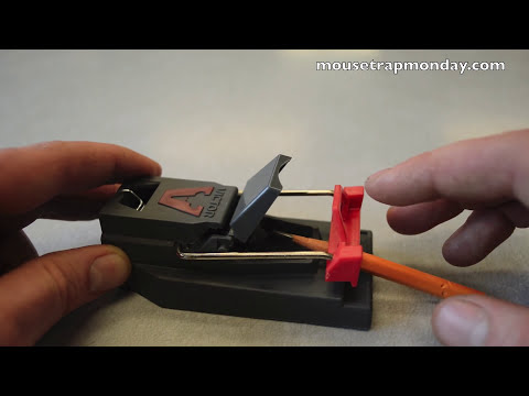 Victor Quick Kill Mouse Trap In Action. Full Review. mousetrapmonday Video