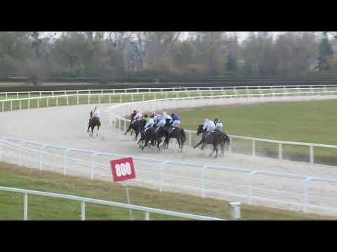 2017.11.05. 7. futam - NÉMETH FERENC EMLÉKKUPA EXTRA HENDIKEP (IV.o.) (szintetikus pálya)