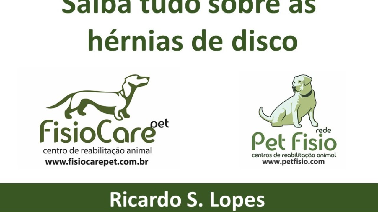 Live para tutores - Hérnia de Disco em pets