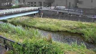 下田橋映像監視局