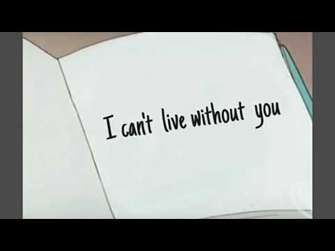 🐈 😻 🐈‍⬛️ 😺 🐱 cat