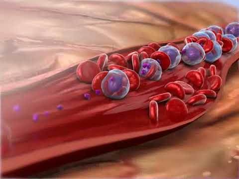 Blood Pressure - Animation