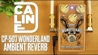 Video thumbnail for Caline CP-508 Wonderland Ambient Reverb Machine by Pedal of the Day