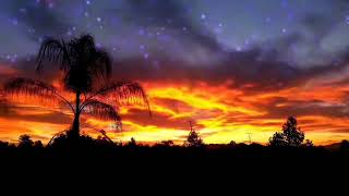 Download lagu HANYA SATU - DARMANSYAH (Cover Andi Gayo) mp3 Download lagu HANYA SATU - DARMANSYAH (Cover Andi Gayo) mp3