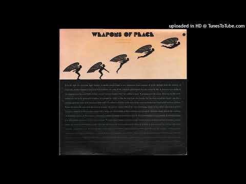 LYSERGICFUNK:  Just Keep On Smiling  -  Weapons Of Peace